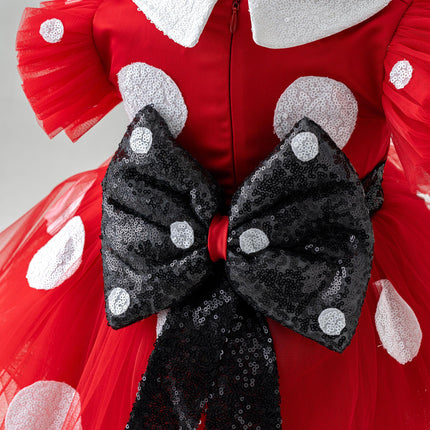 Minnie Mouse Costume